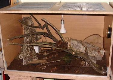 Terrarium