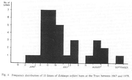 Fig. 4   Frequency distribution of 33 litters of Echinops telfairi born at the Trust between 1967 and 1978.